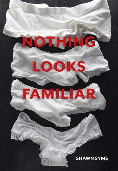 Cover of Nothing Looks Familiar by Shawn Syms